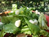 Classic-French-Green-Salad