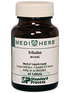 M1445-Tribulus