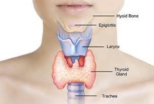 barnes_thyroid_test