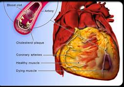 heart_core_functions