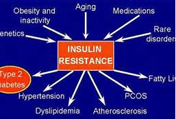 insulin