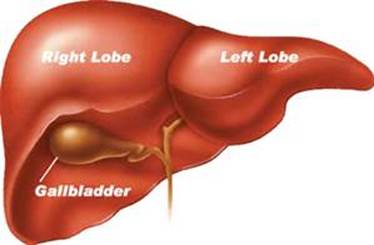 liver-gallbladder-problems