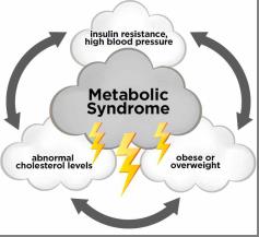 metabolic_syndrome