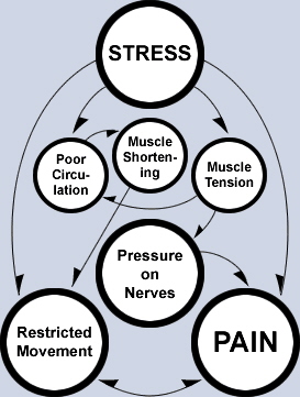 musculoskeletal_distortion