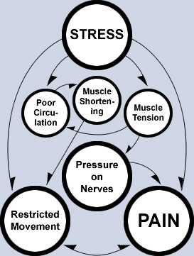 musculoskeletal_distortion