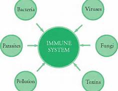 poor_immune_system