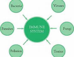 poor_immune_system