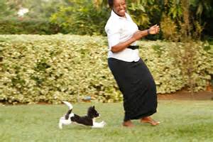 reverse-aging-process