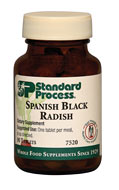 spanish_black_radish