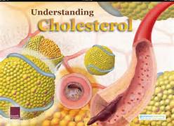 truth_about_cholesterol